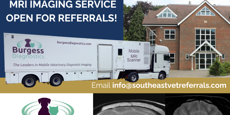 Pennard - South East Vet Referrals (3)