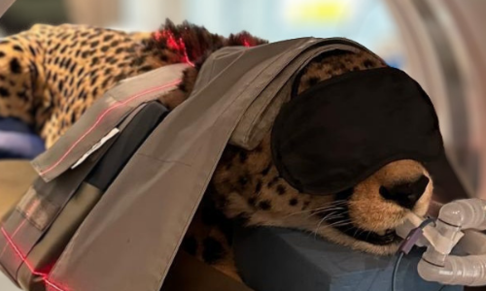 Untitled design (38)