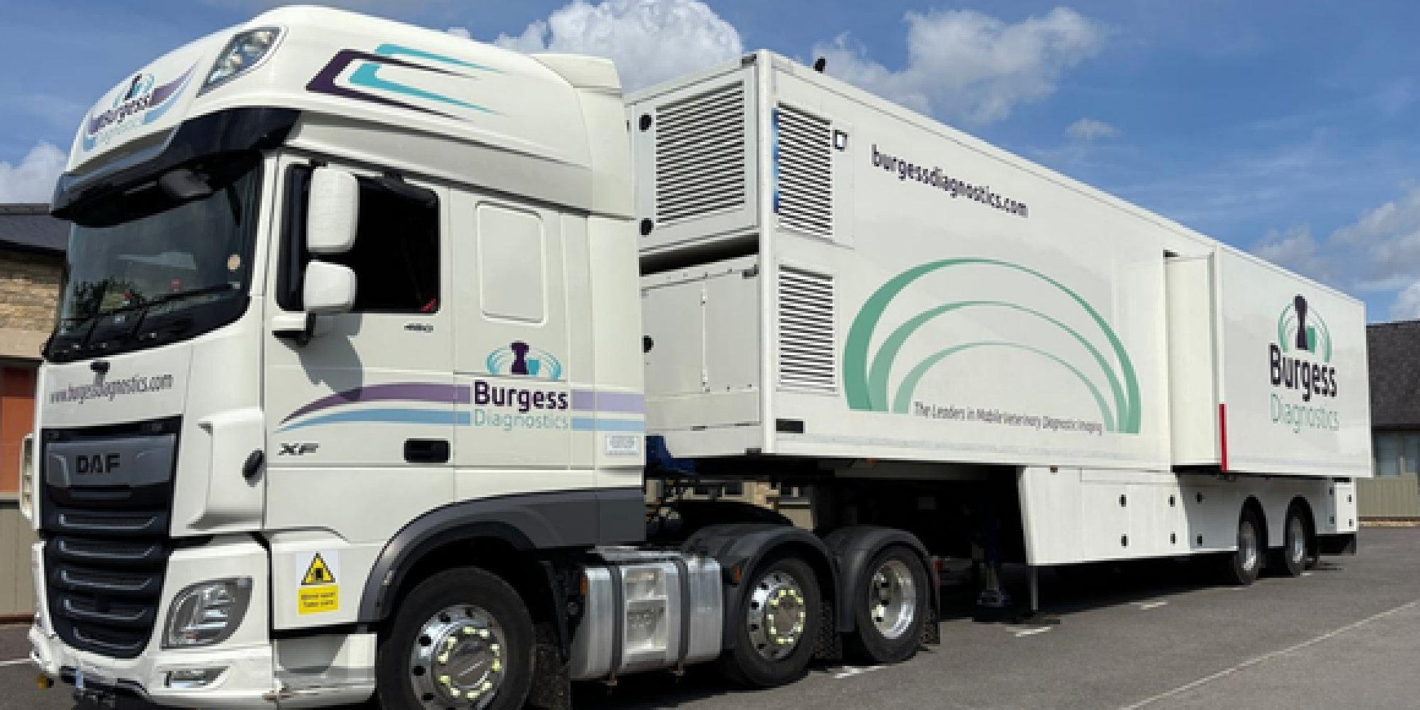 Untitled design (33)