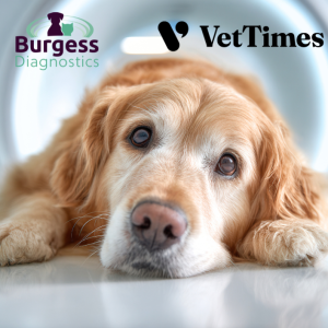 Vet Times Article Jan 2026 (6)