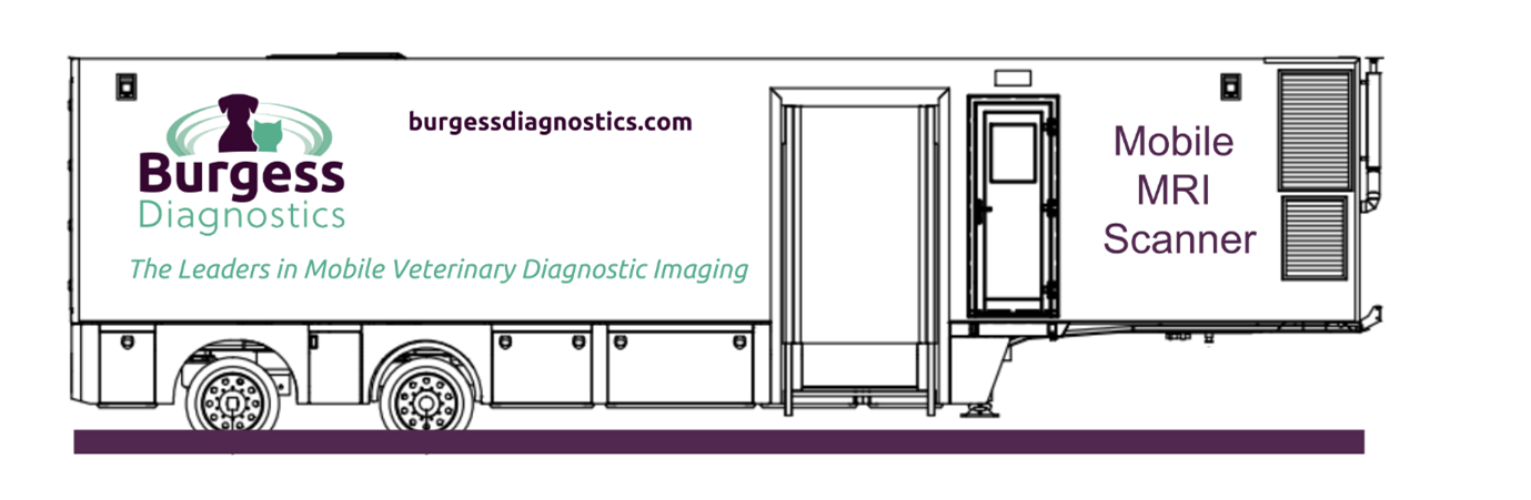 MRI unit 1